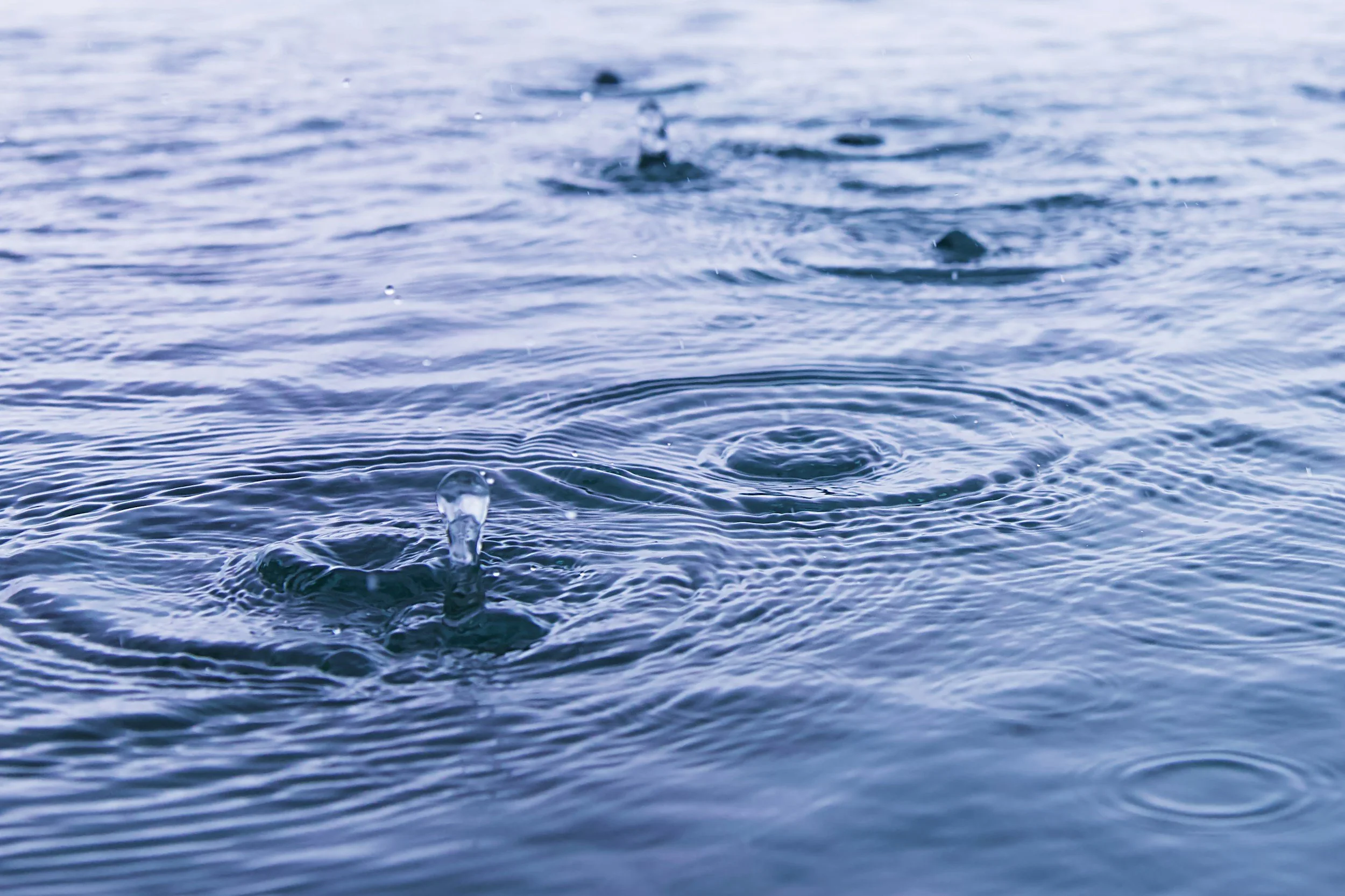 Close-up of water ripples and droplets on the surface of a body of water.