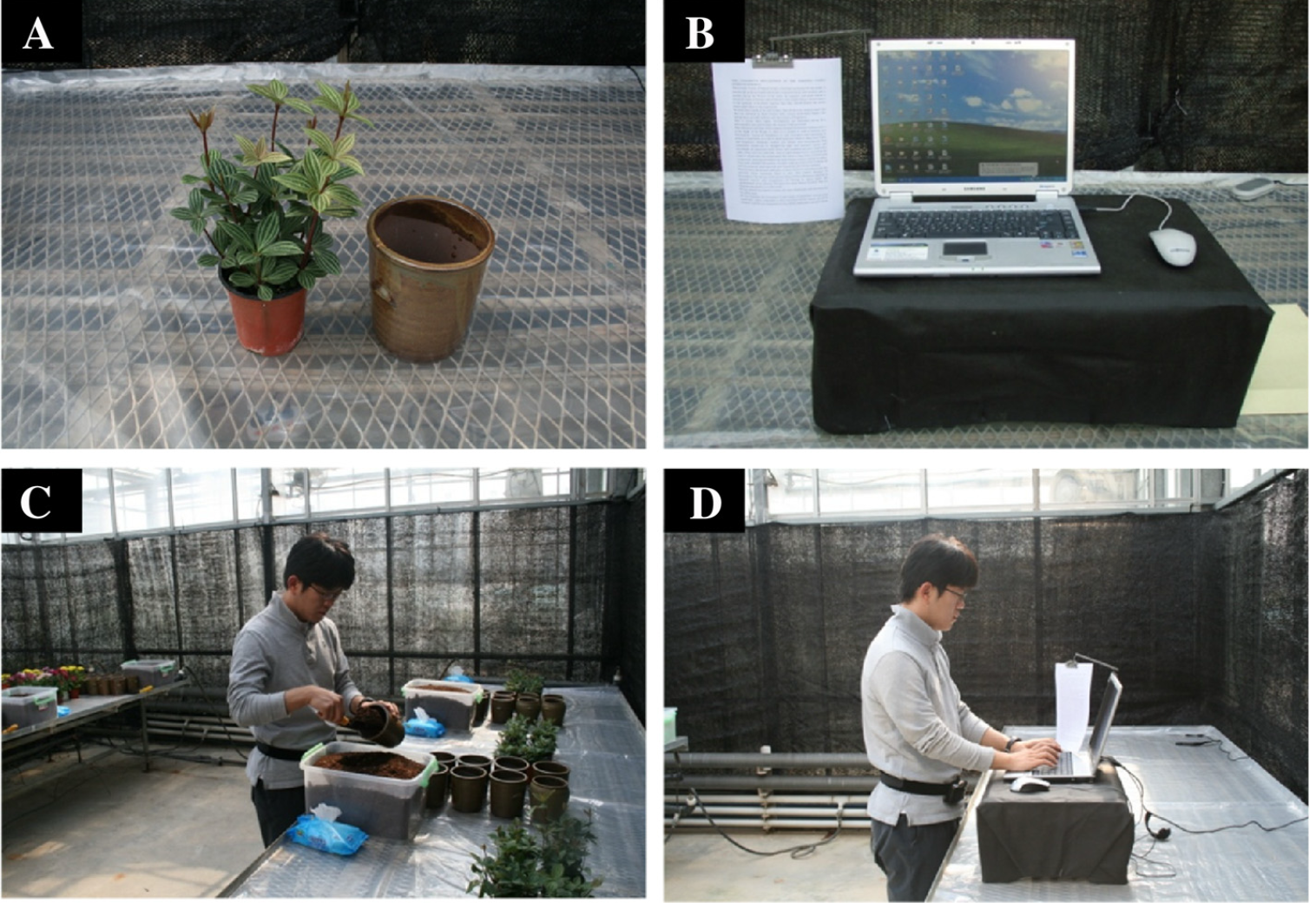 Interaction with indoor plants may reduce psychological and physiological stress … in young adults