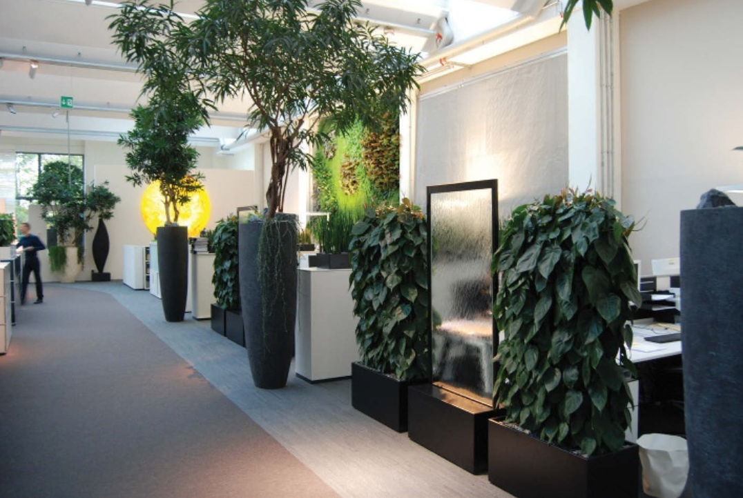 The Science Behind Happy Spaces and Biophilia, Buildings, and your Brain 
