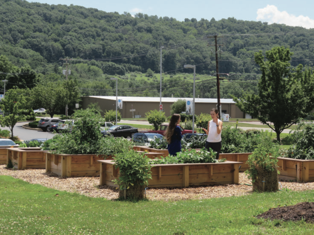 Vegetable Garden as Therapeutic Horticulture for Patients with Chronic Pain