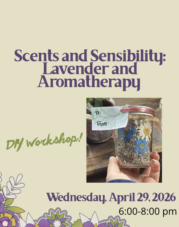Scents and Sensibility: Lavender and Aromatherapy