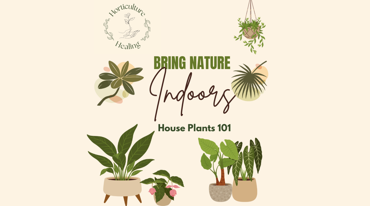 Introduction to House Plants