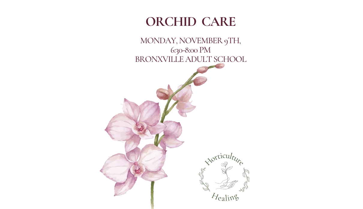 Orchid Overview