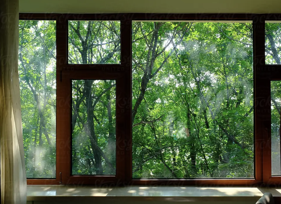 View through a window may influence recovery from surgery