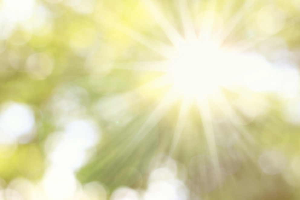 The effect of sunlight on postoperative analgesic medication use: a prospective study of patients undergoing spinal surgery