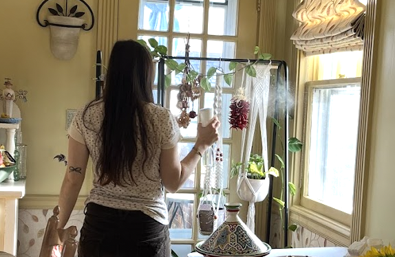 What Are the Benefits of Plants Indoors and Why Do We Respond Positively to Them?