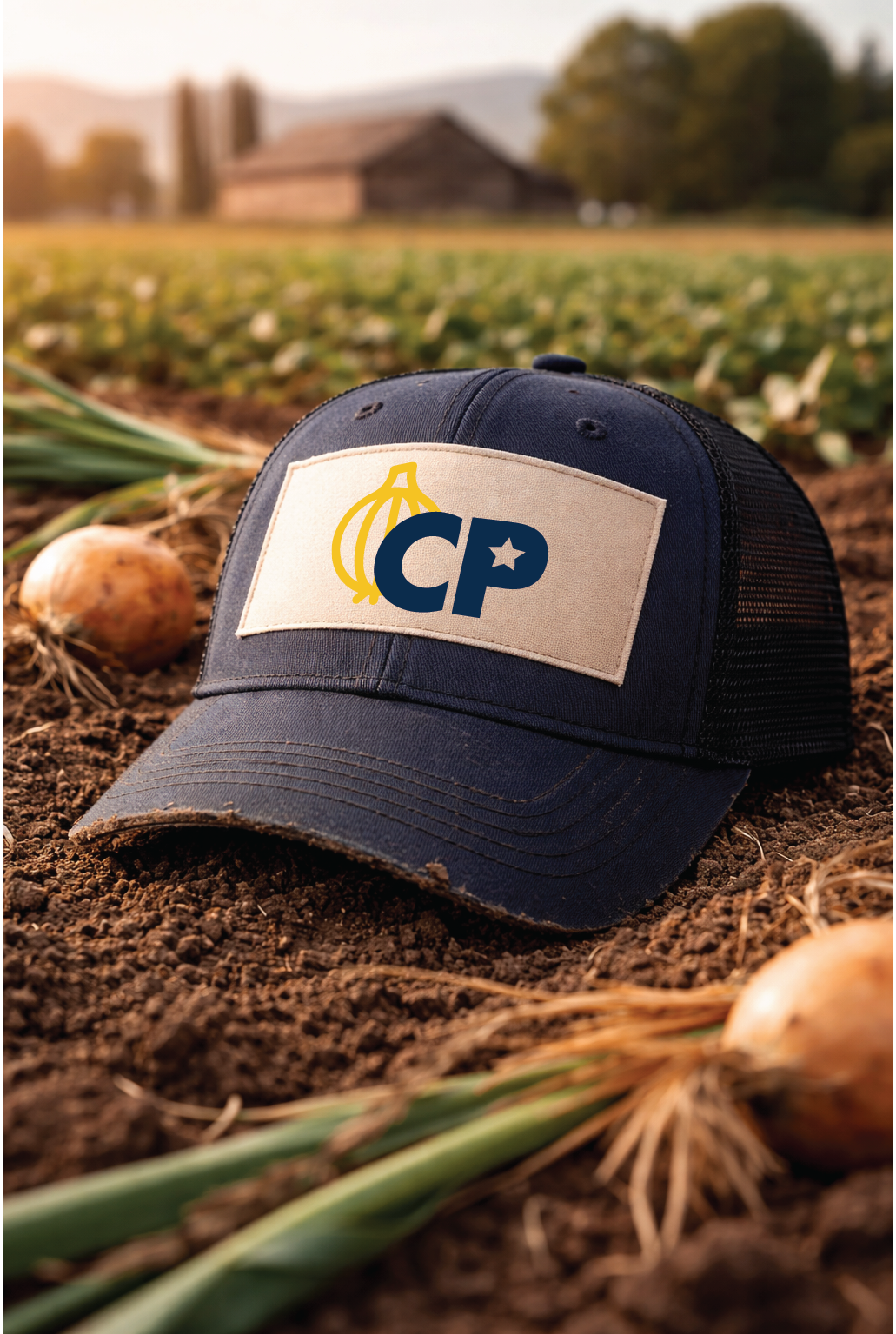 Real World Application 1.png