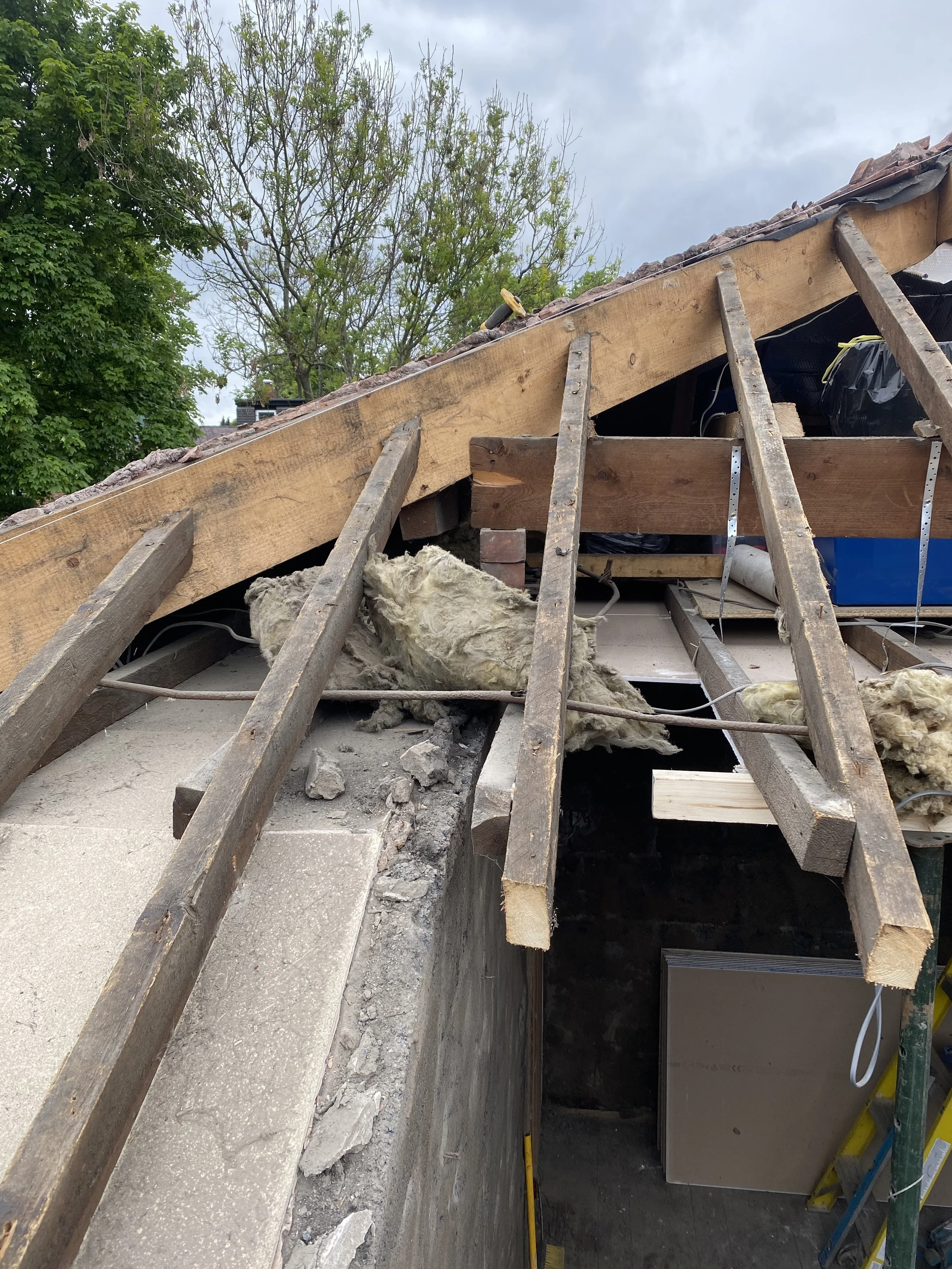 bowed roof_0892.jpeg