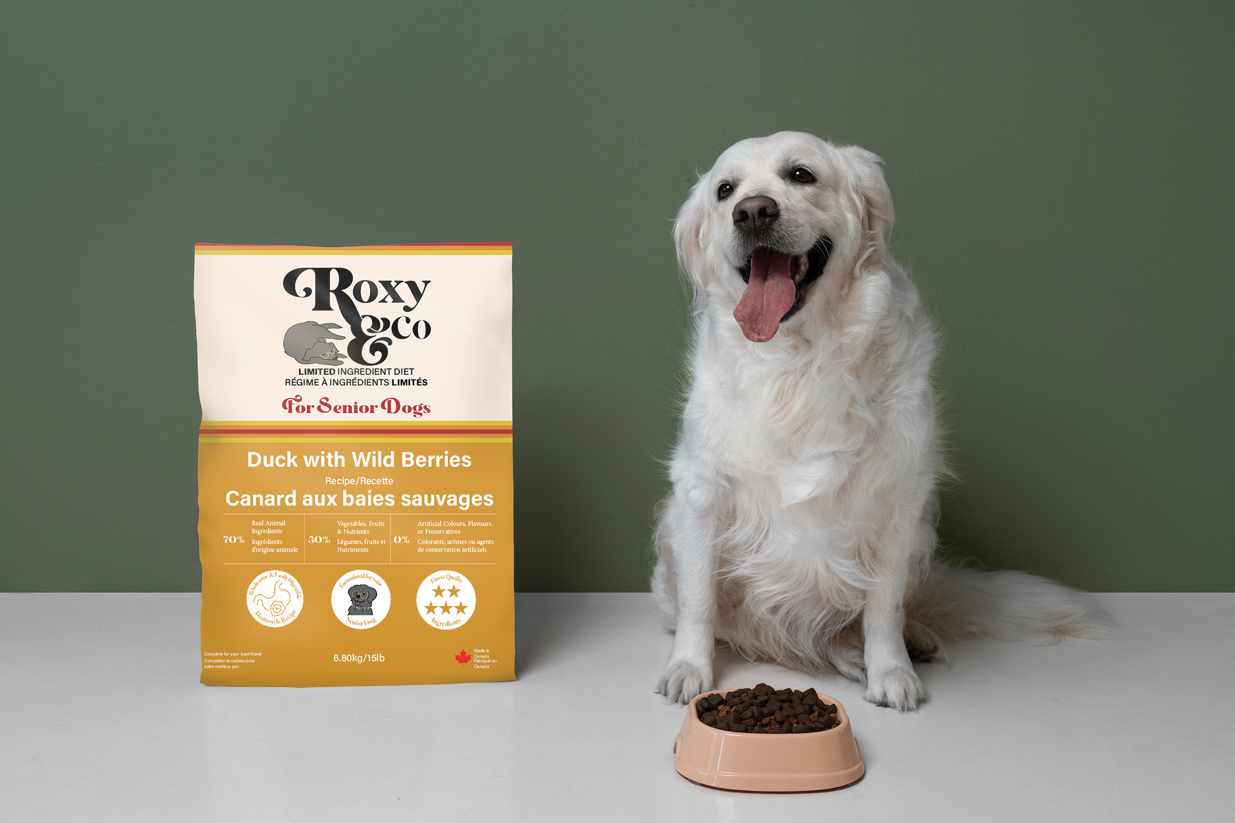 doggofoodbowl roxyco.png