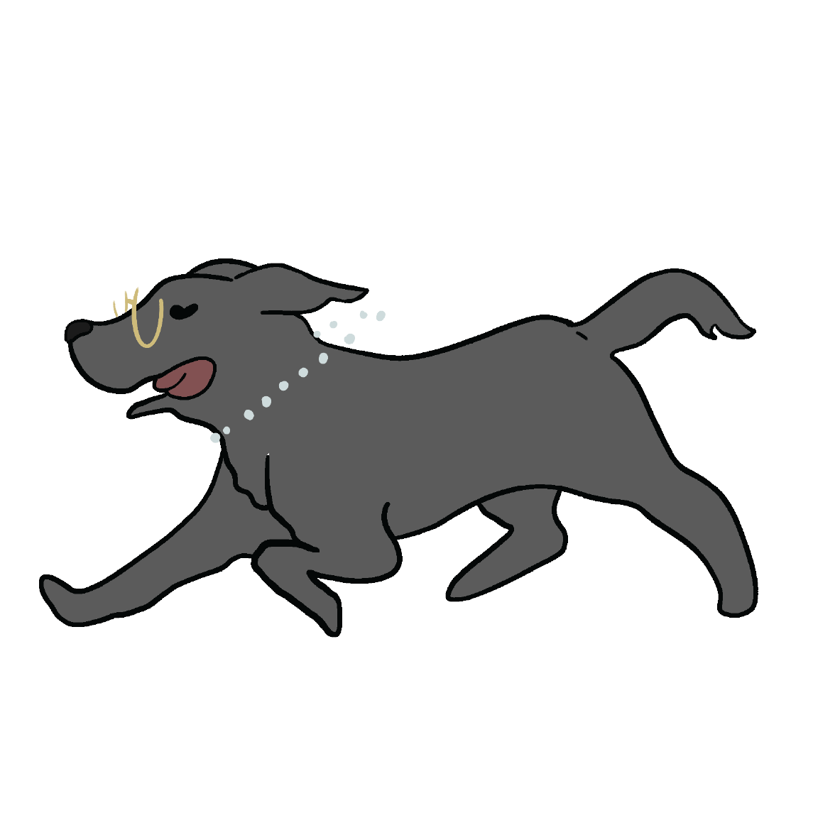 FRoxy - doggos-02.png
