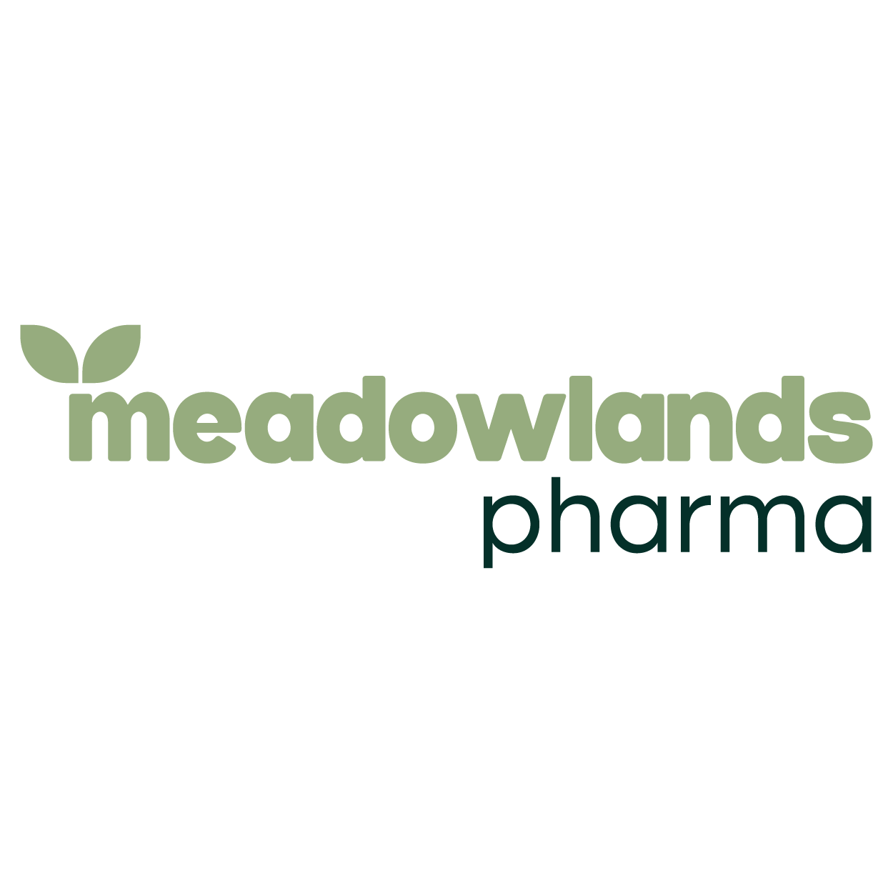 Meadowlands Pharma (Case Study)