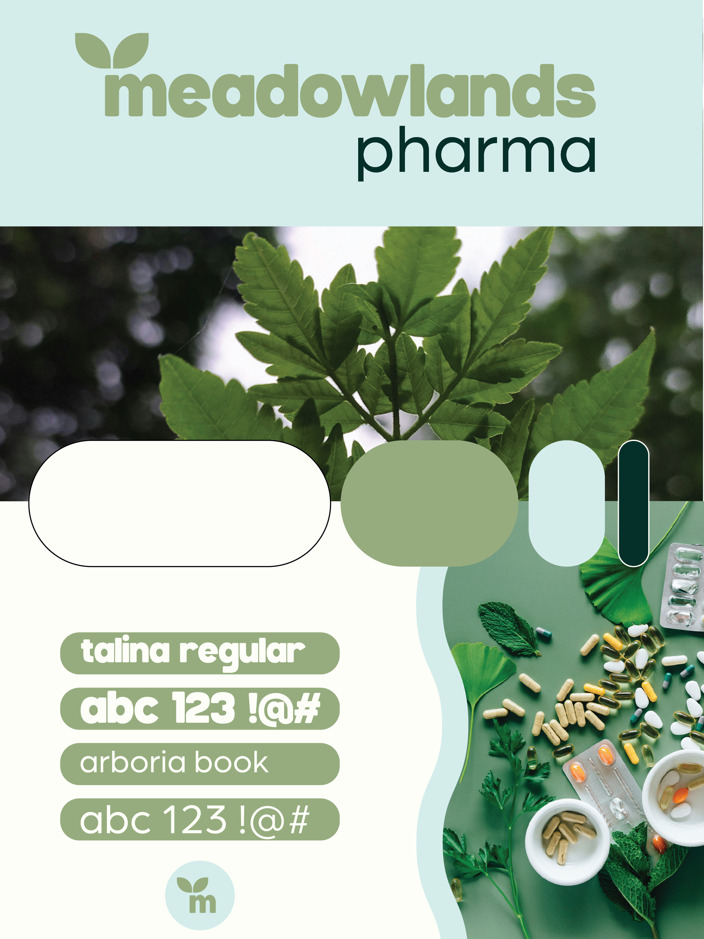 Meadowlands Pharma Case Study-04.png