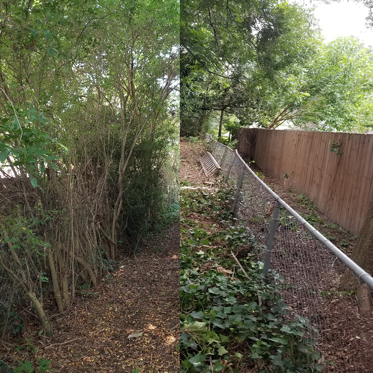 Split view of a narrow dirt path surrounded by dense greenery and bushes on the left, and a fenced backyard with trees, a bench, and a wooden fence on the right.