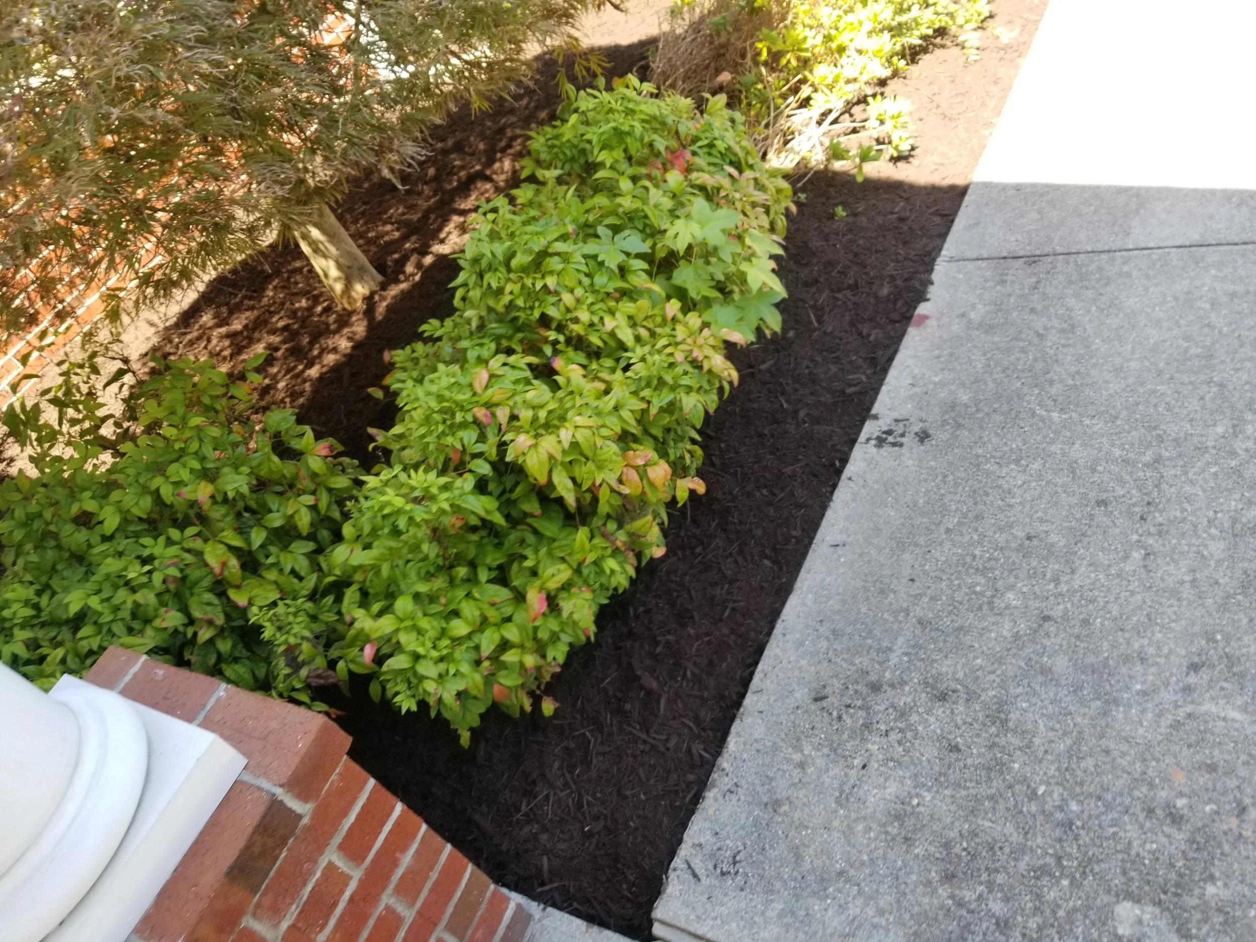 Oranssi project: studio shed