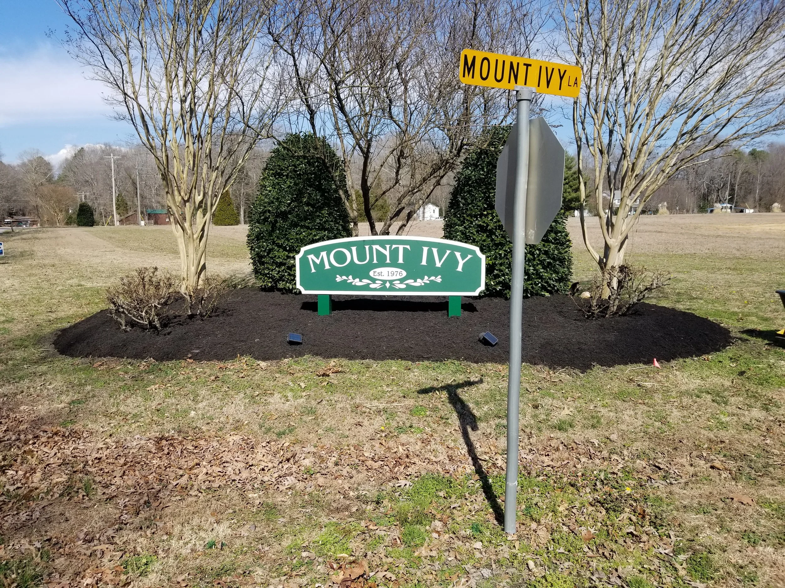 Street sign for Mount Ivy LA in front of a landscaped area with trees and bushes, and a green Mount Ivy sign with white lettering and a white feather design, established in 1976.