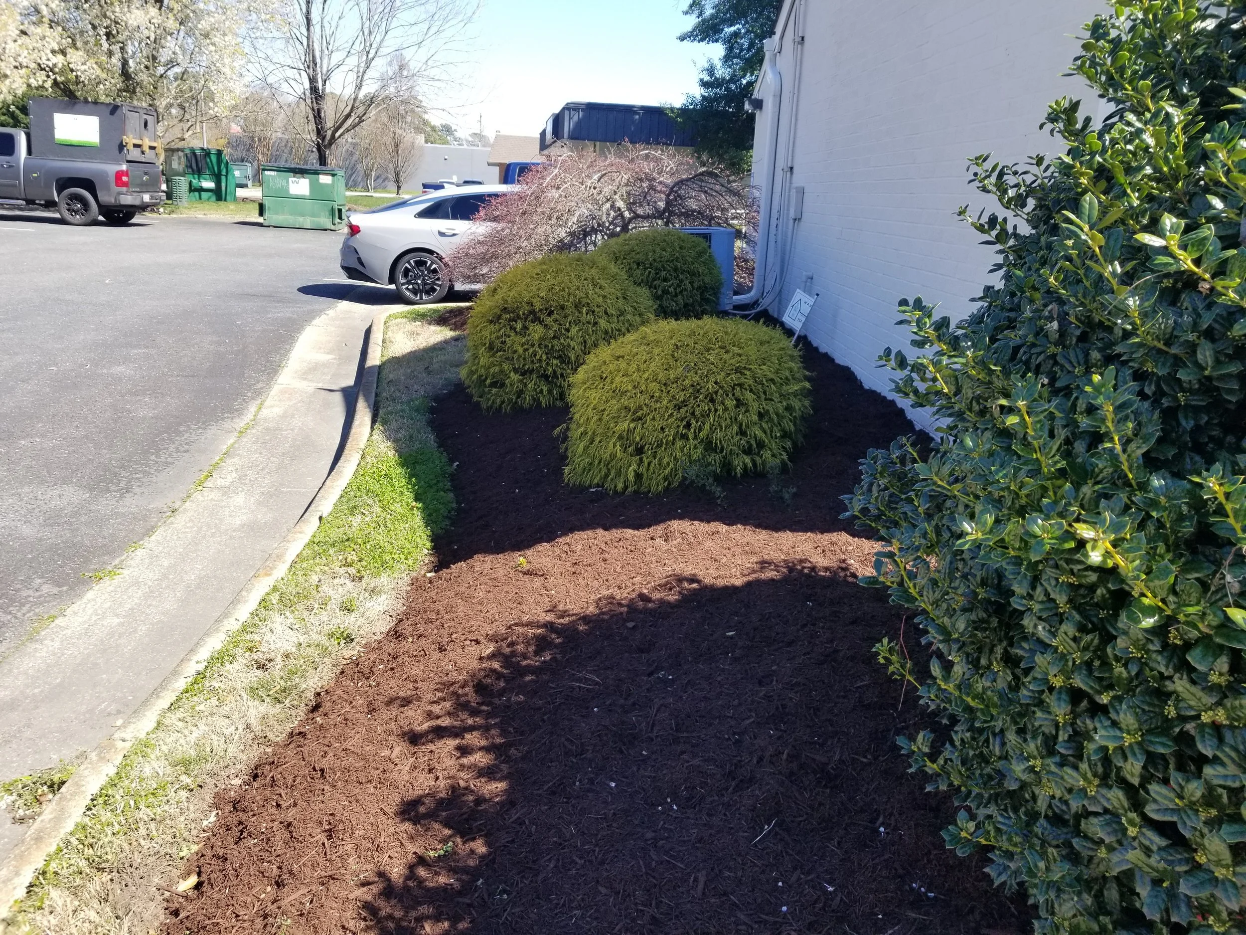 Well-maintained landscaping with trimmed bushes along a building, next to a parking lot with parked cars, including a silver sedan, and green trash bins in the background.