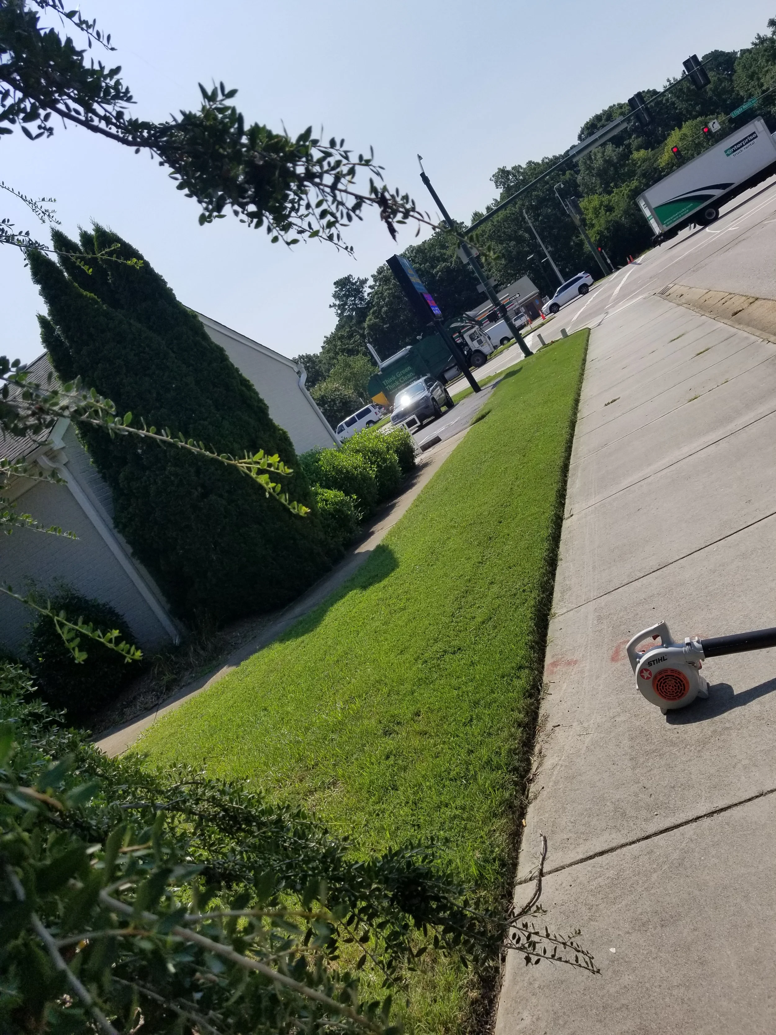 Sidewalk with a patch of green grass, a hedge, and a plant, with traffic and vehicles in the background, and a leaf in the foreground.