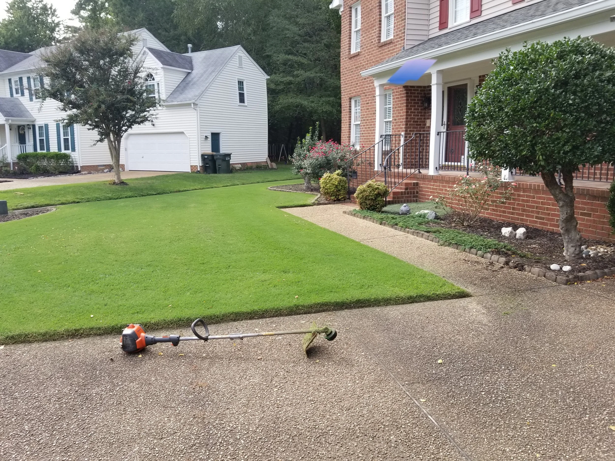 A well-maintained front yard with green grass, bushes, and a tree in a residential neighborhood. A leaf blower is lying on the driveway in front of the house.