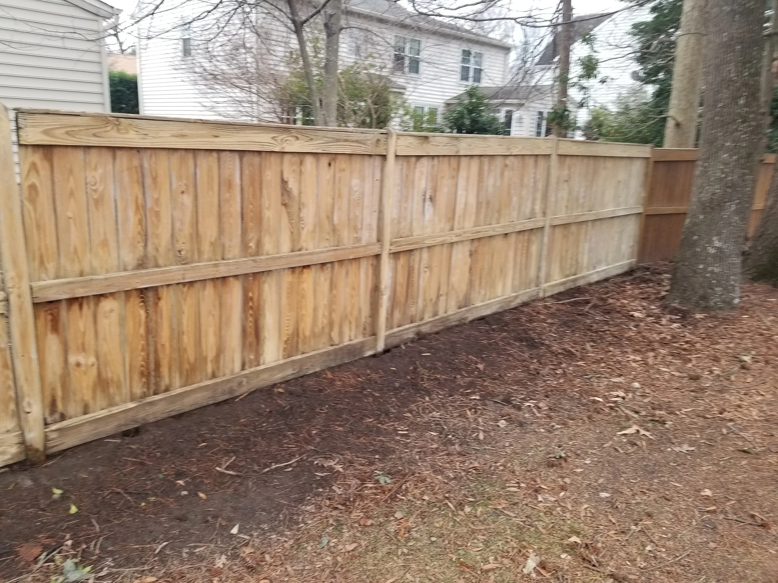 New wooden fence installed in a backyard with a tree and neighboring houses visible in the background.