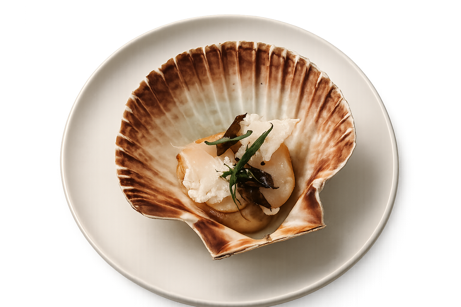 A seafood dish served in a scallop shell on a white plate, garnished with herbs and slices of vegetables.