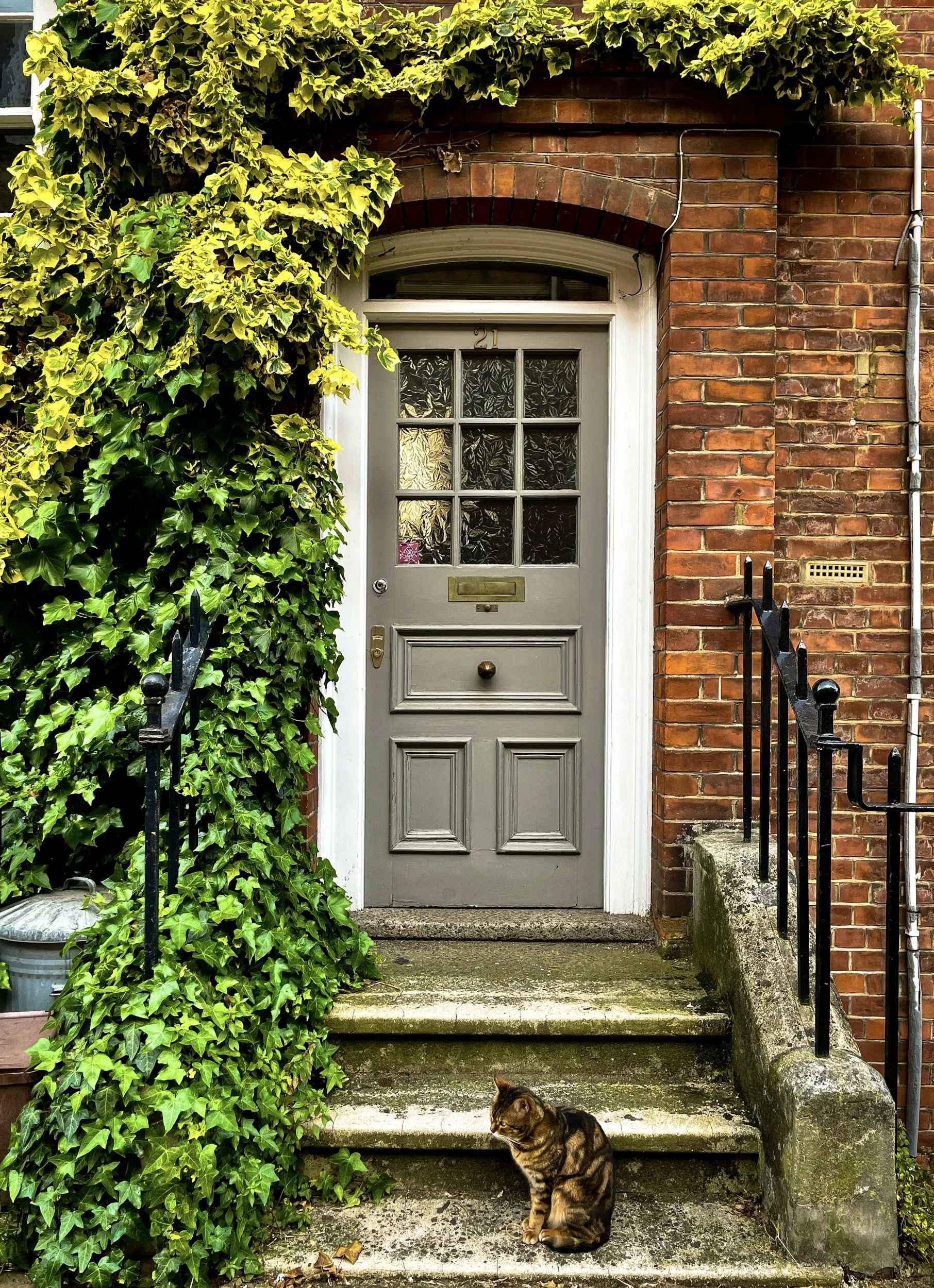 A grey wooden front door with frosted glass panels, surrounded by a red brick wall, with green ivy growing on the left side and black railing on the right. There are concrete steps leading up to the door, on which a tabby cat is sitting. The door has a mail slot and a brass doorbell.