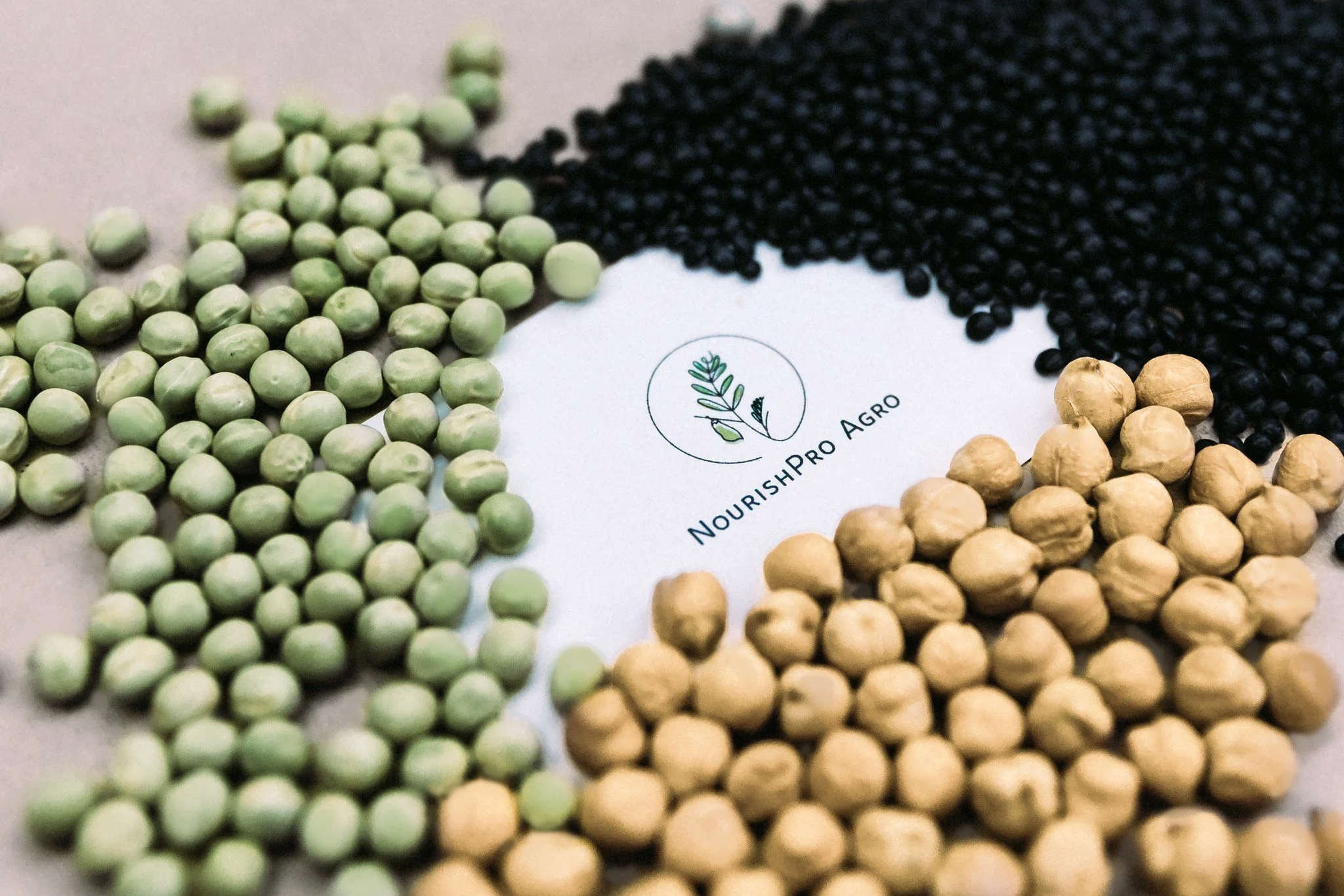 Various types of legumes and grains arranged around a 'NourishPro Agro' logo, including green peas, black beans, and chickpeas.