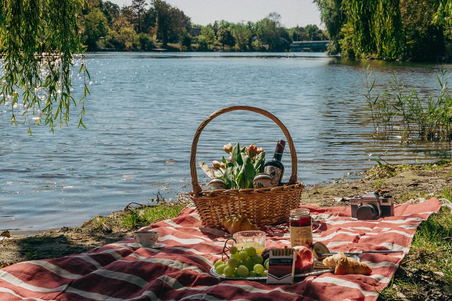 THESIS1 (1 of 1).jpg