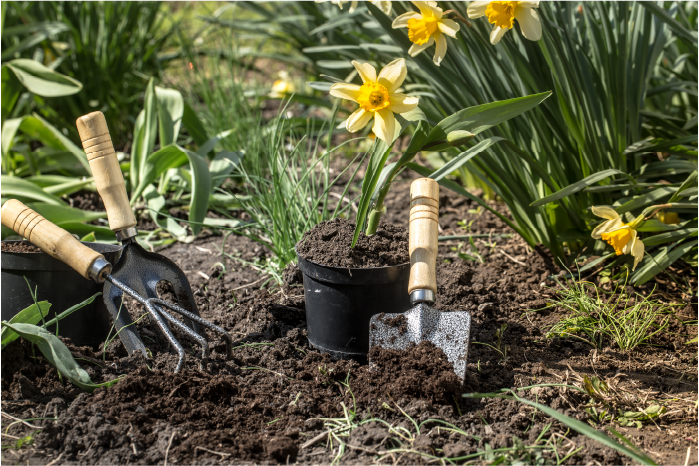 DE TUIN KLAS - GROUND RULES