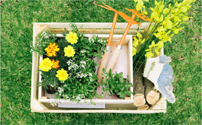 DE TUIN KLAS - POTS &amp; PLOTS