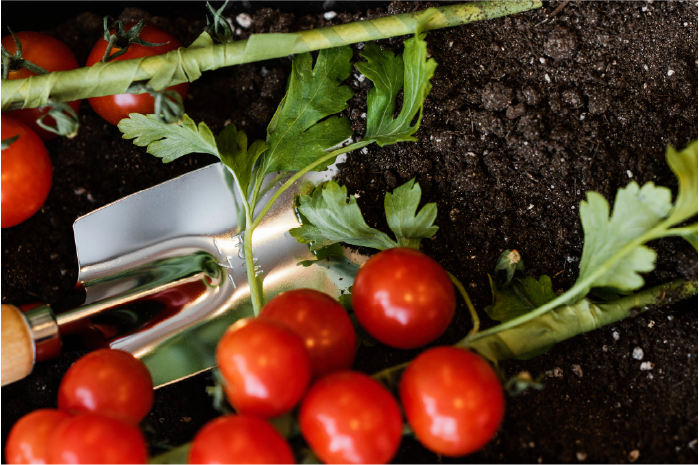 DE TUIN KLAS - GARDEN TO TABLE