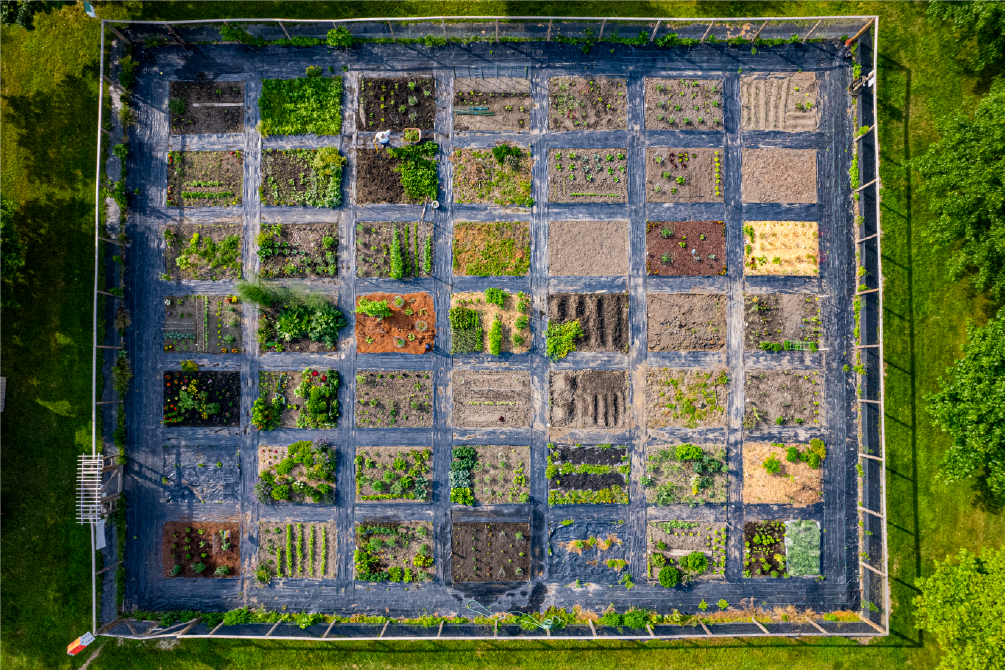 Community Garden