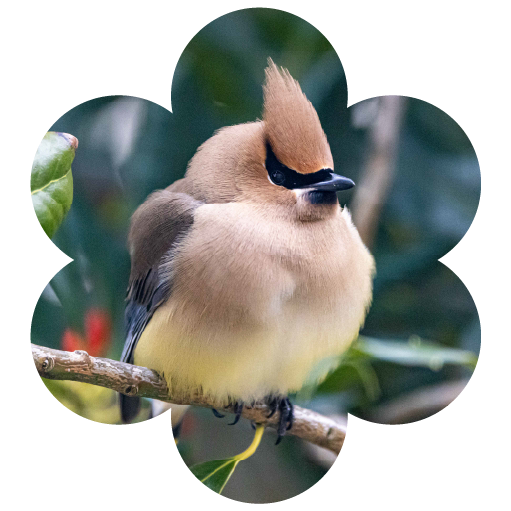 Bird perched on branch