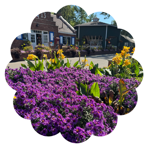 Garden at Windmill Island Gardens