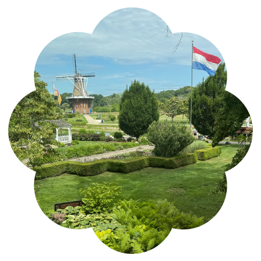 Display of Netherlands