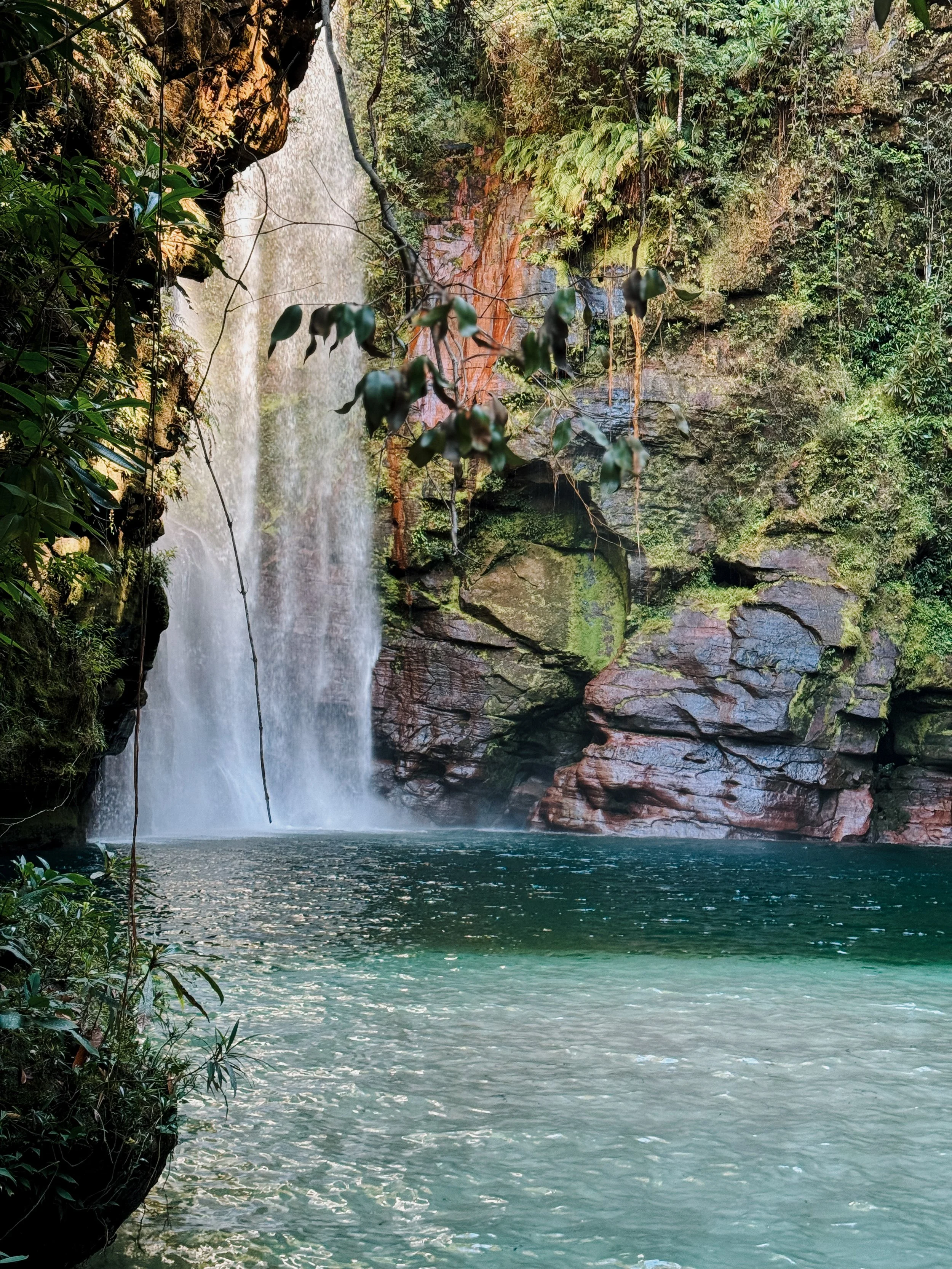 Cachoeira em uma floresta tropical, com água caindo de uma encosta rochosa, formando um rio de águas claras e relaxantes.