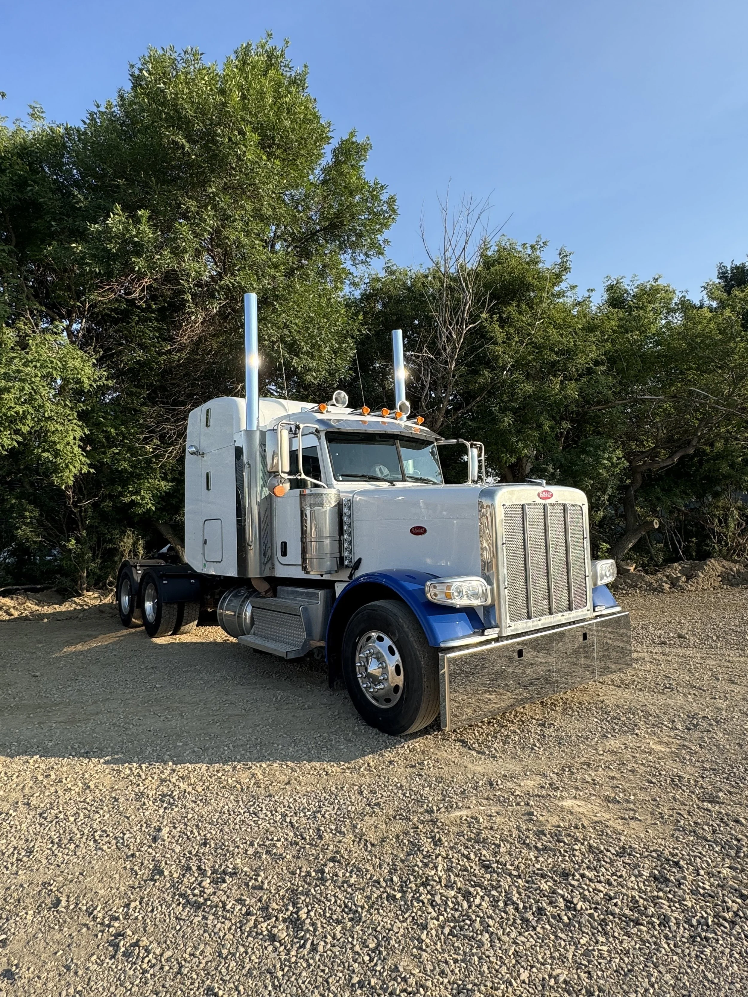 2019 PETERBILT 389