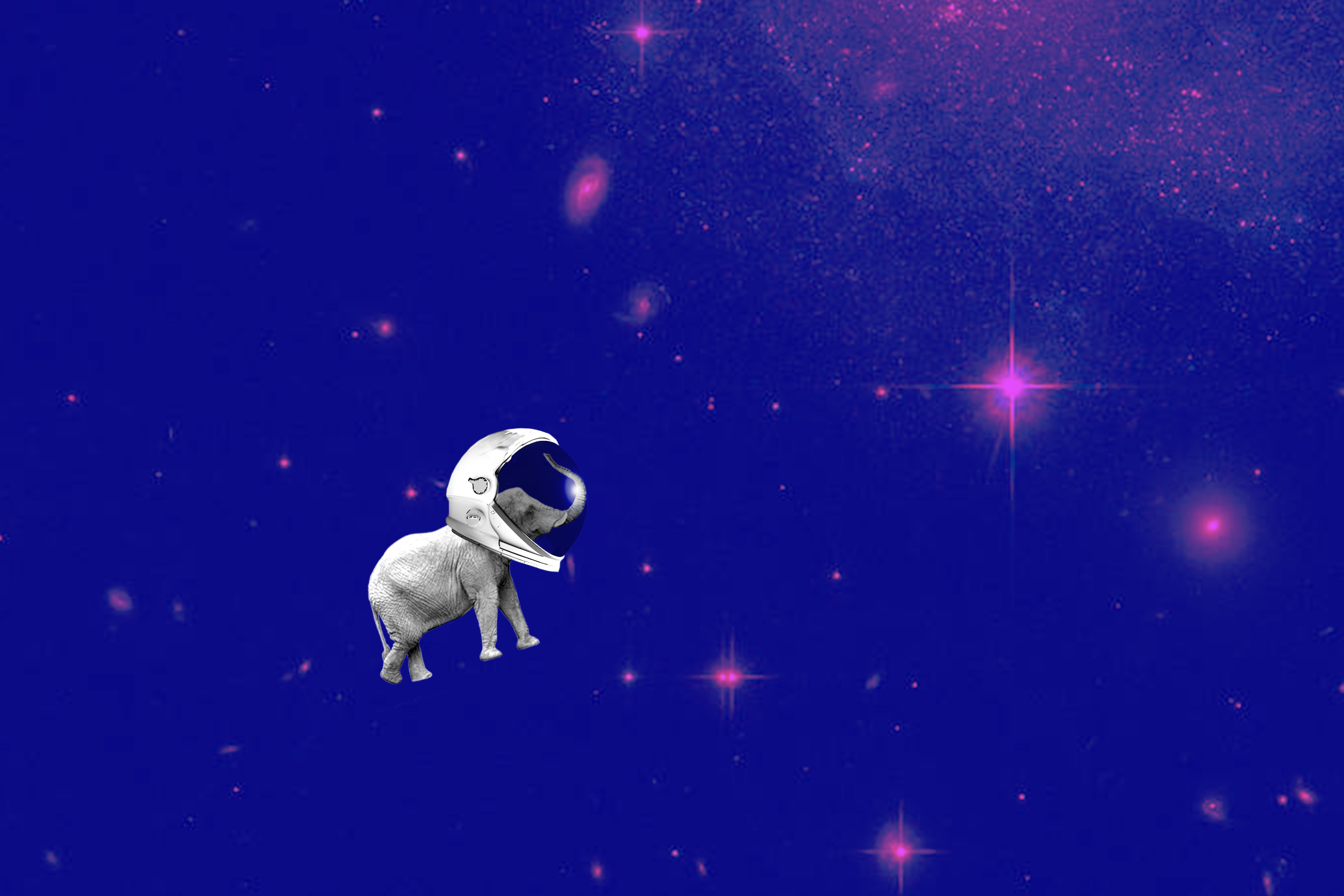 elephant-in-space-final.png
