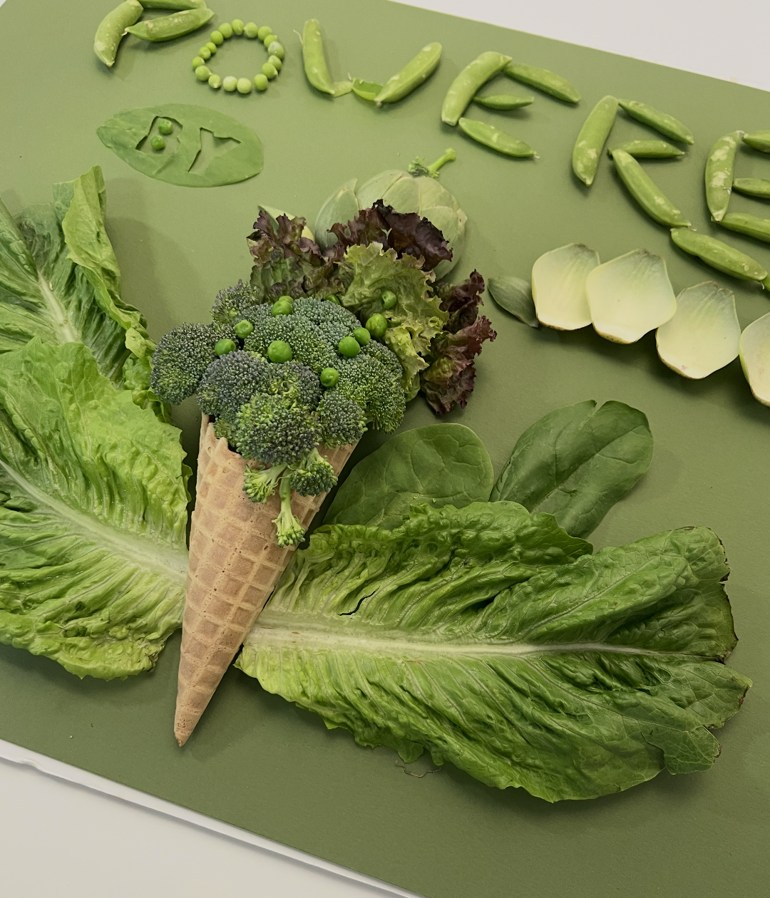 Screenshot 2026-03-03 at 1.13.05 PM.png