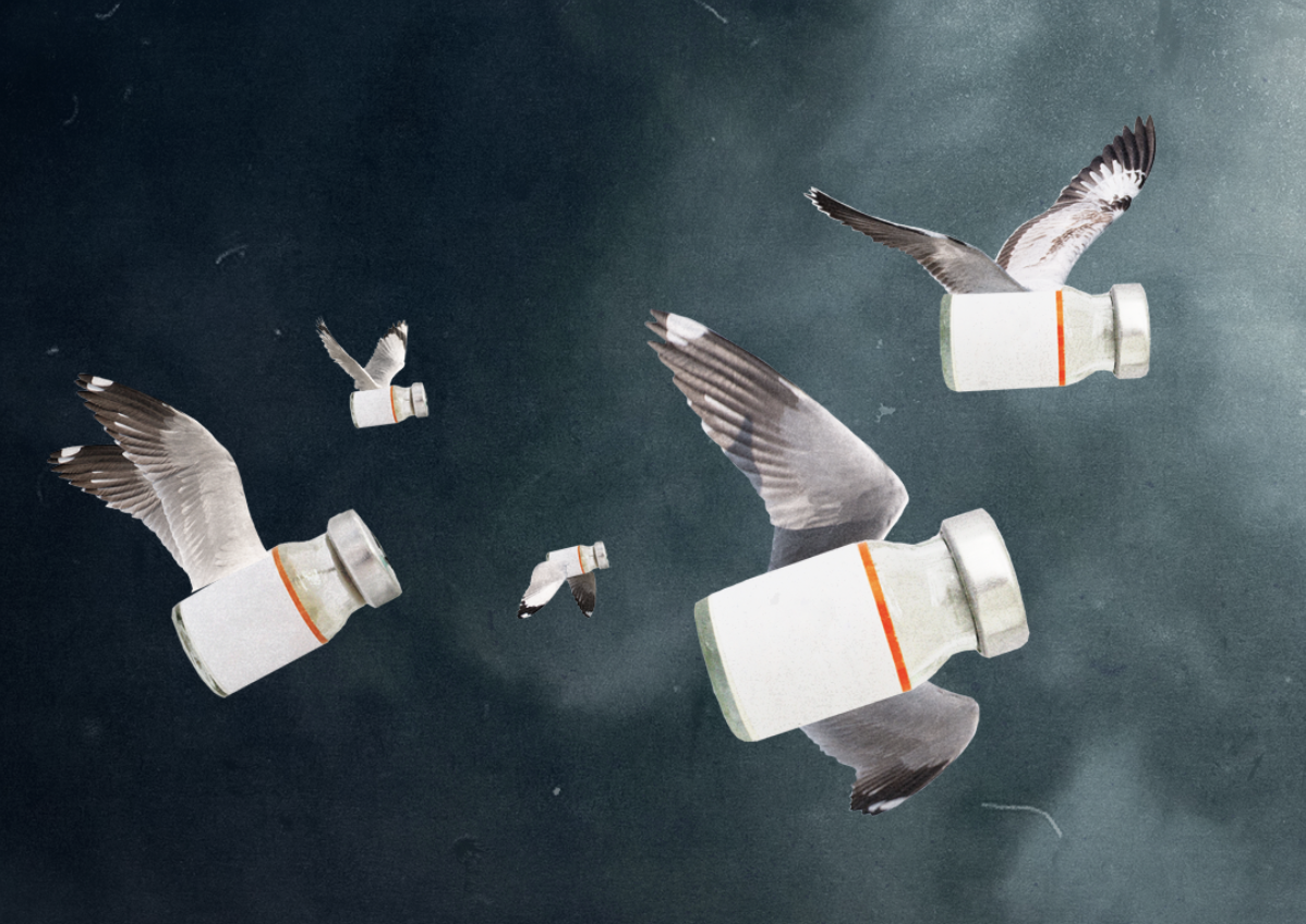 Screenshot 2026-02-03 at 10.17.25 AM.png