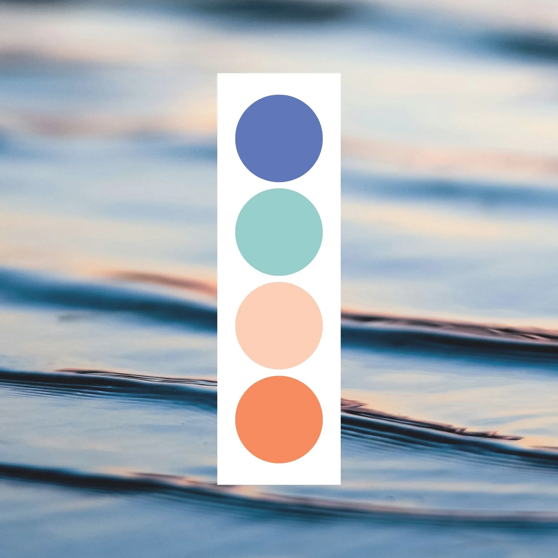 Claudia Pascale custom color palette