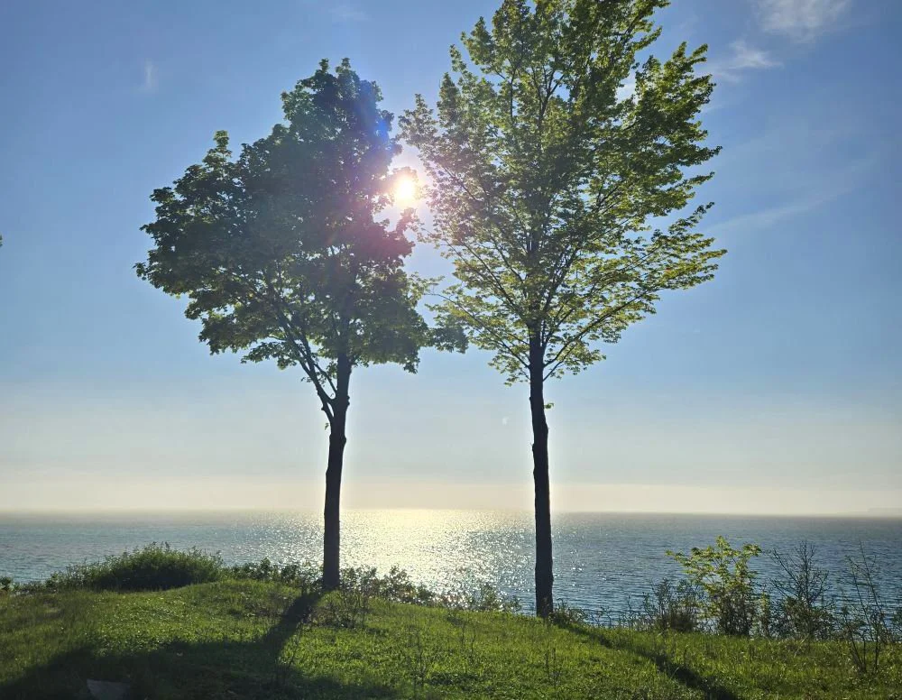 Sun-Setting-Lake-View.jpg