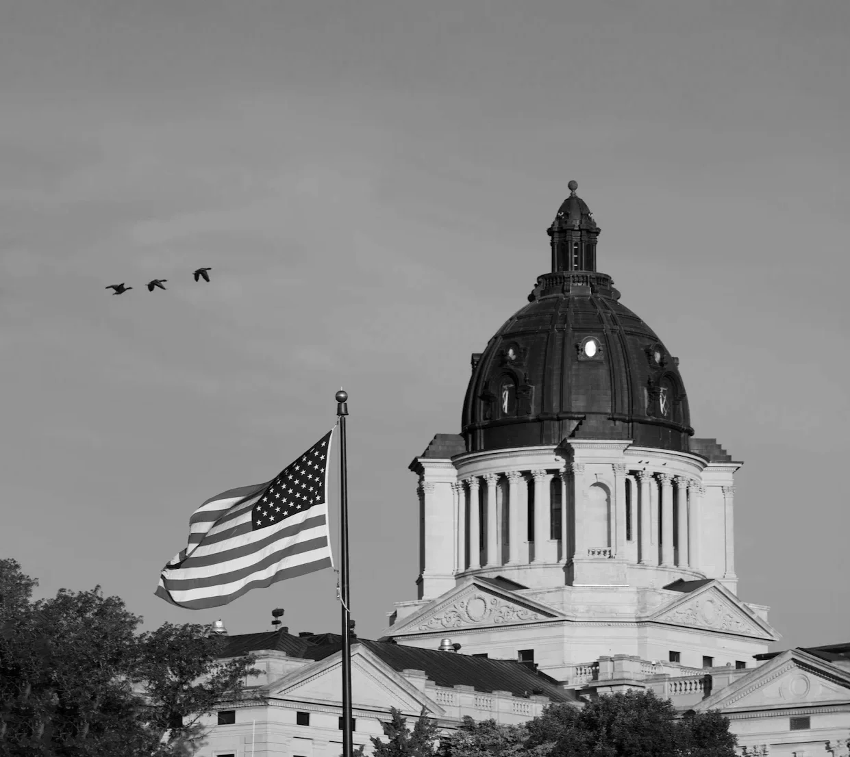 South Dakota capitol with flag and birds flying.
