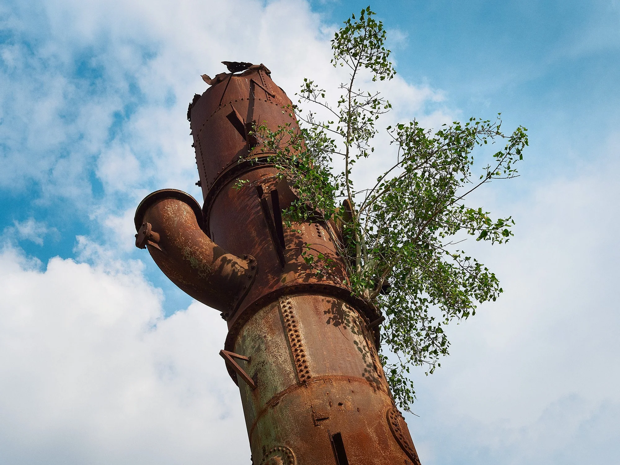 424-I. De la serie Caminos negros