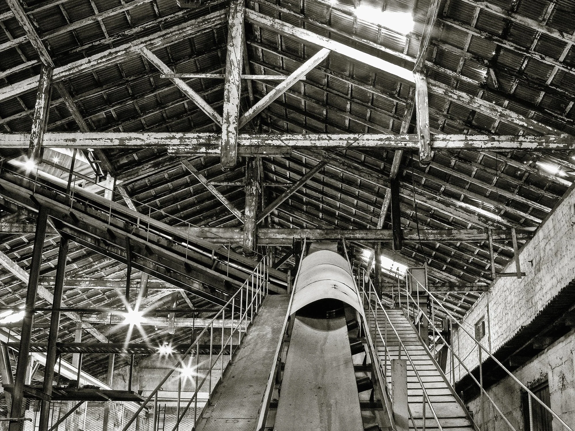 630-IV. De la serie Oro seco