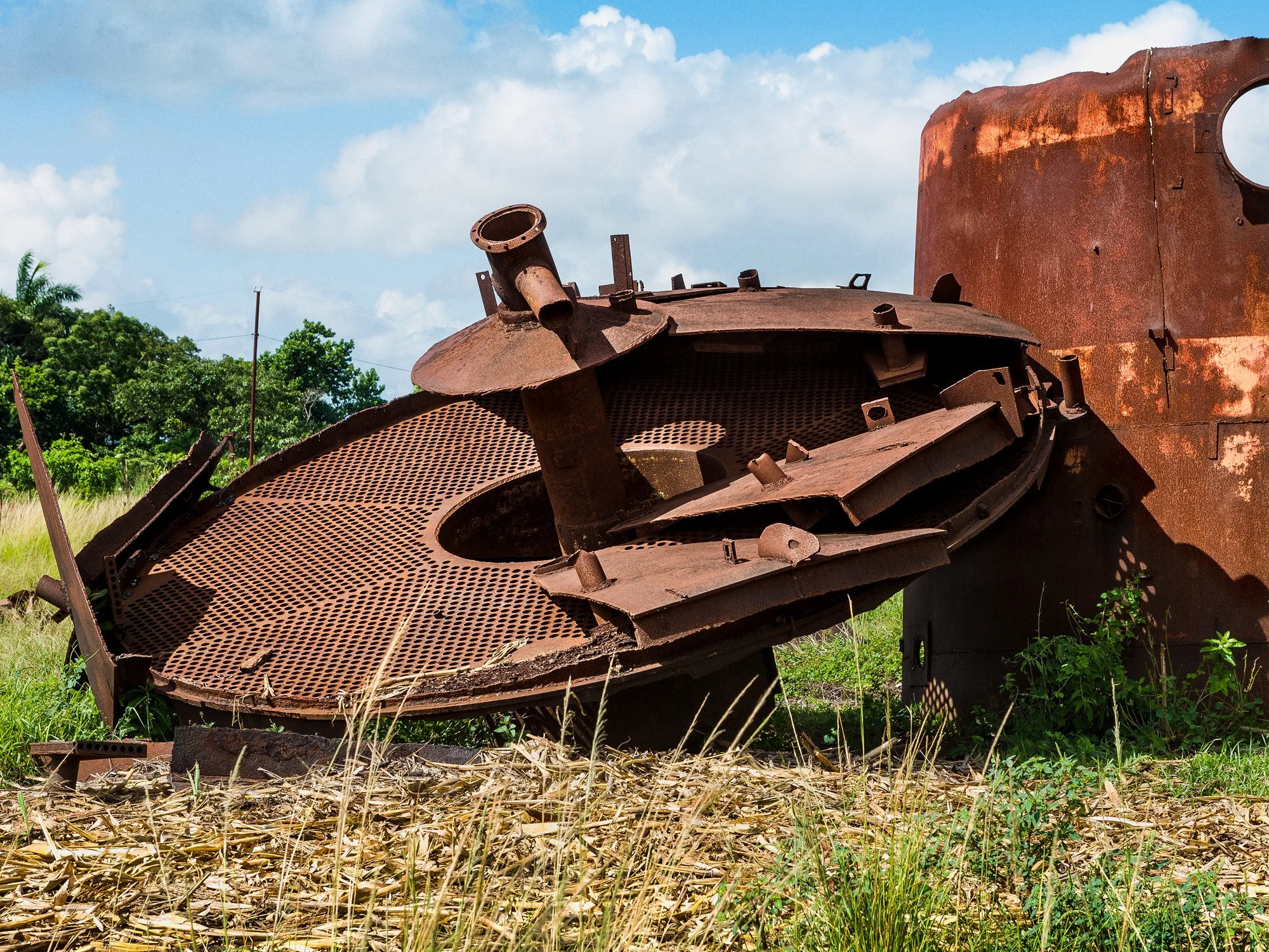 318-I. De la serie Caminos negros