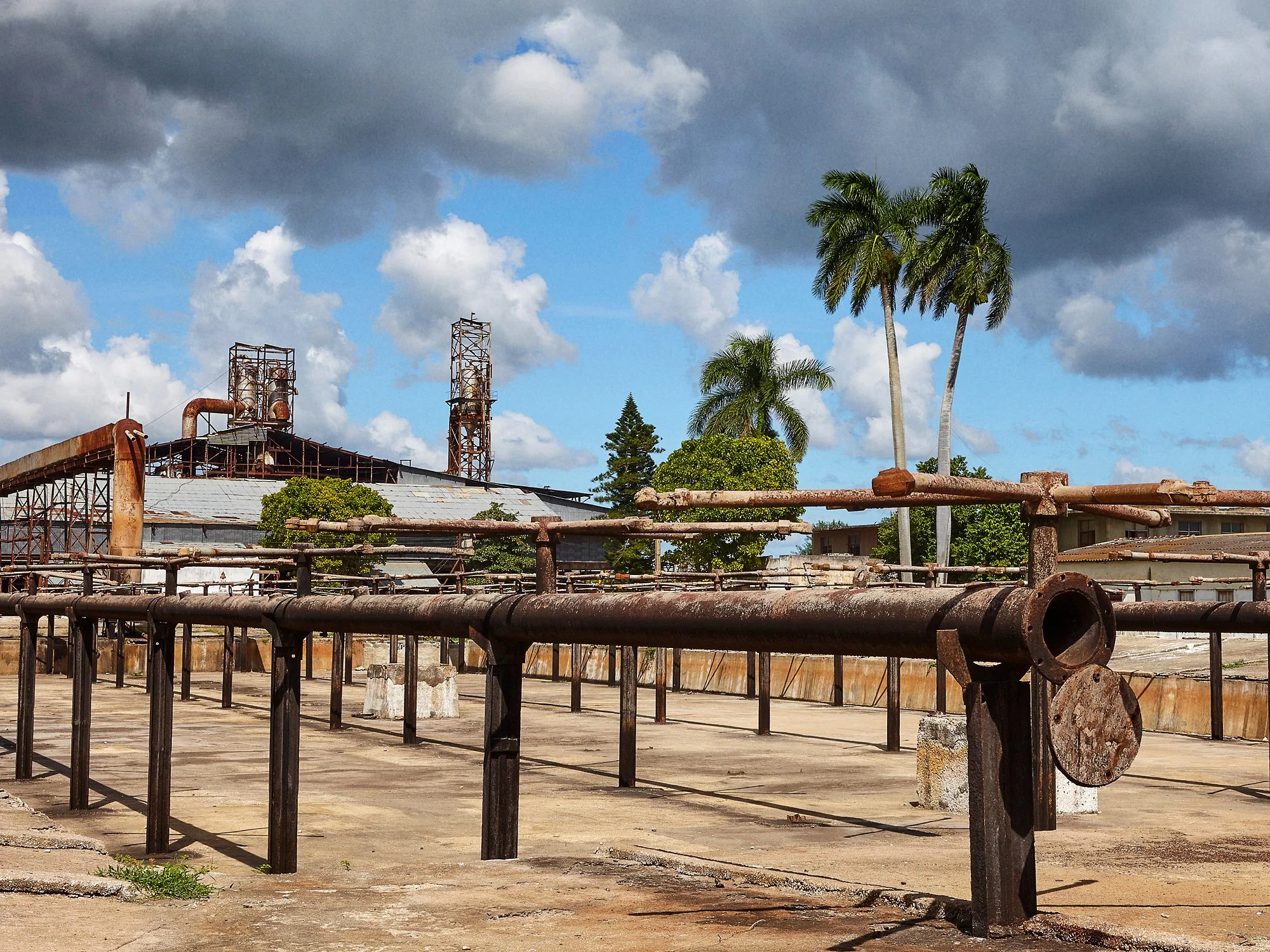 301-I. De la serie Caminos negros