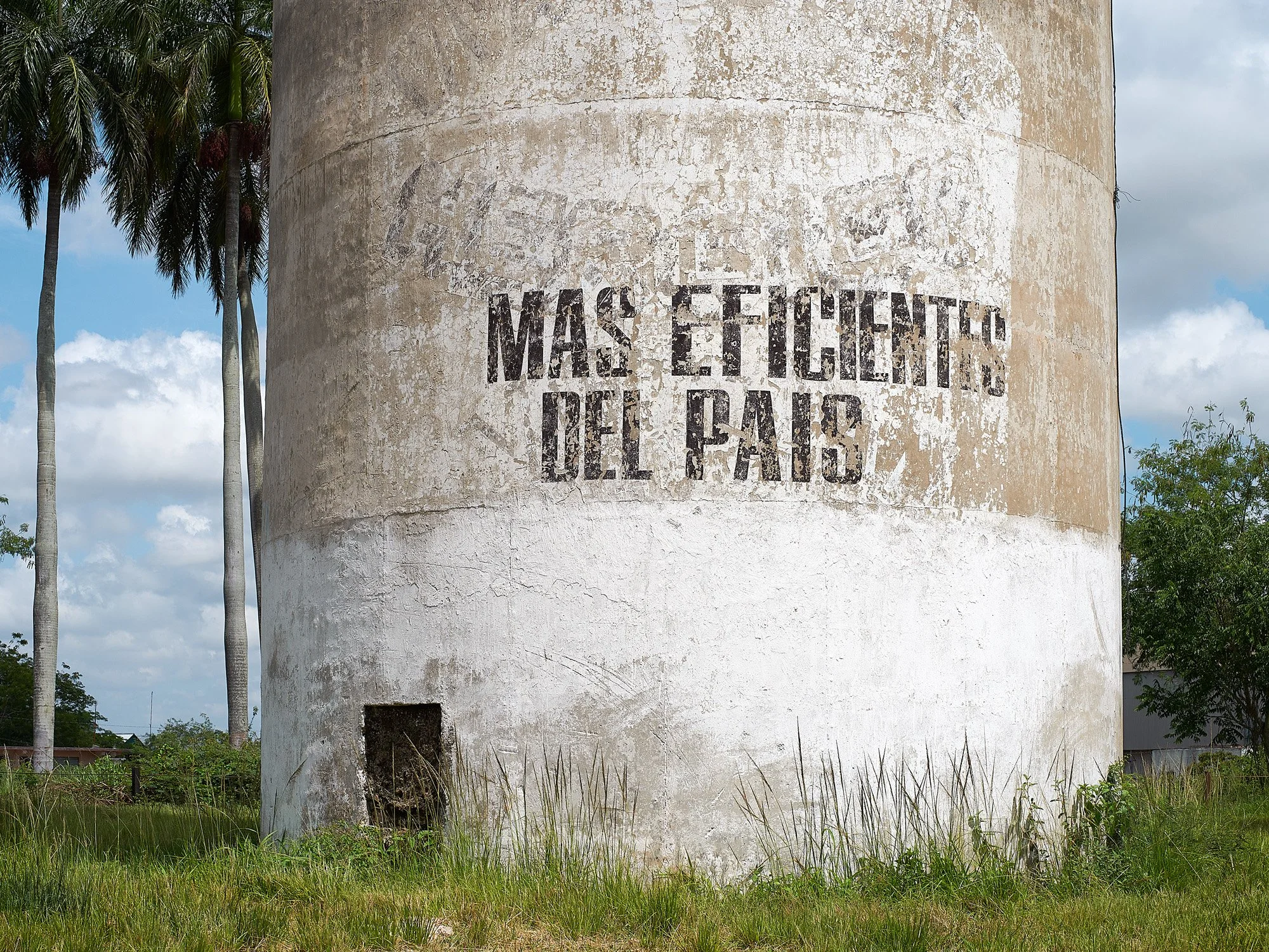 322-I. De la serie Caminos negros