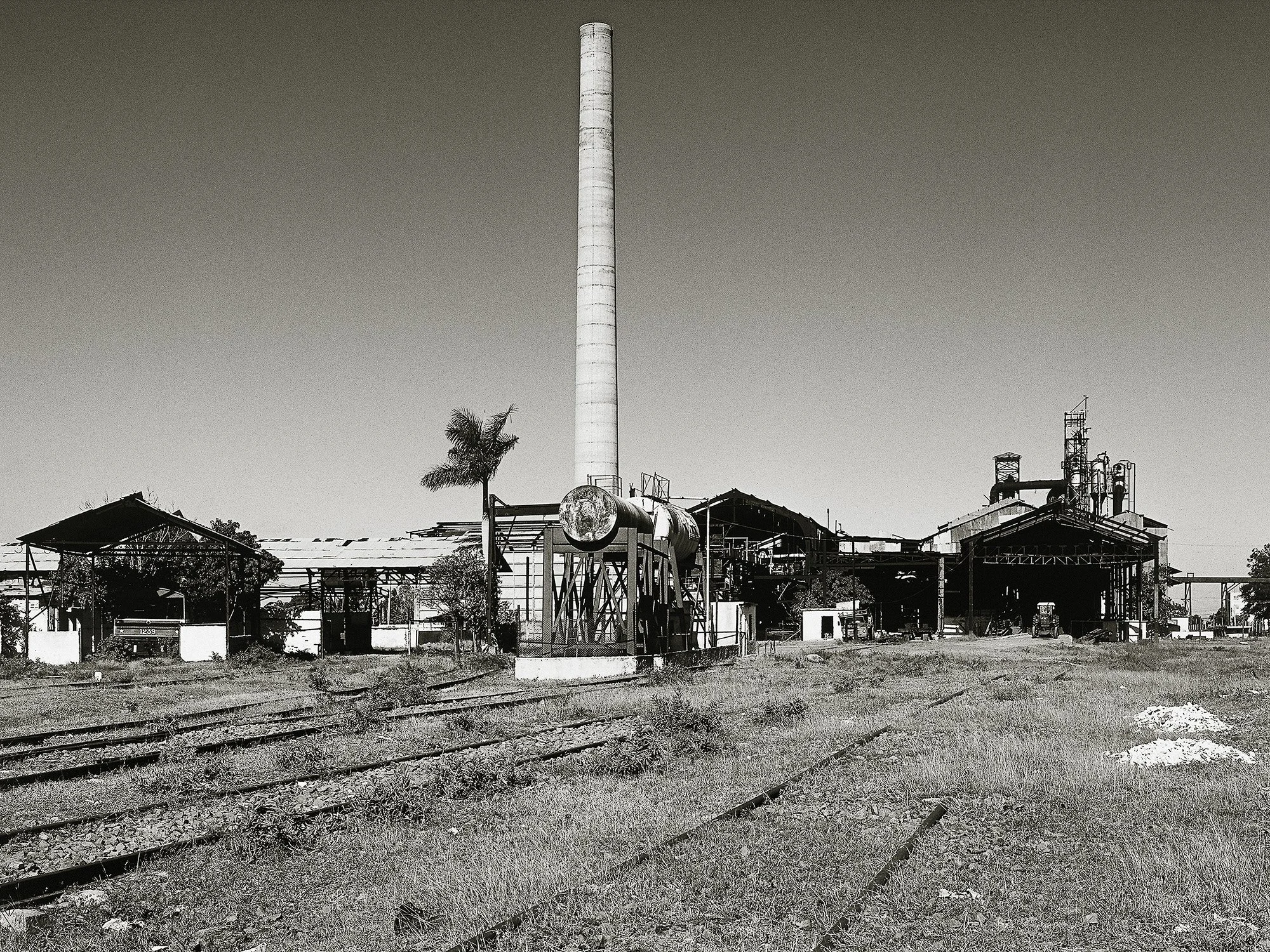 433-I. De la serie Oro seco