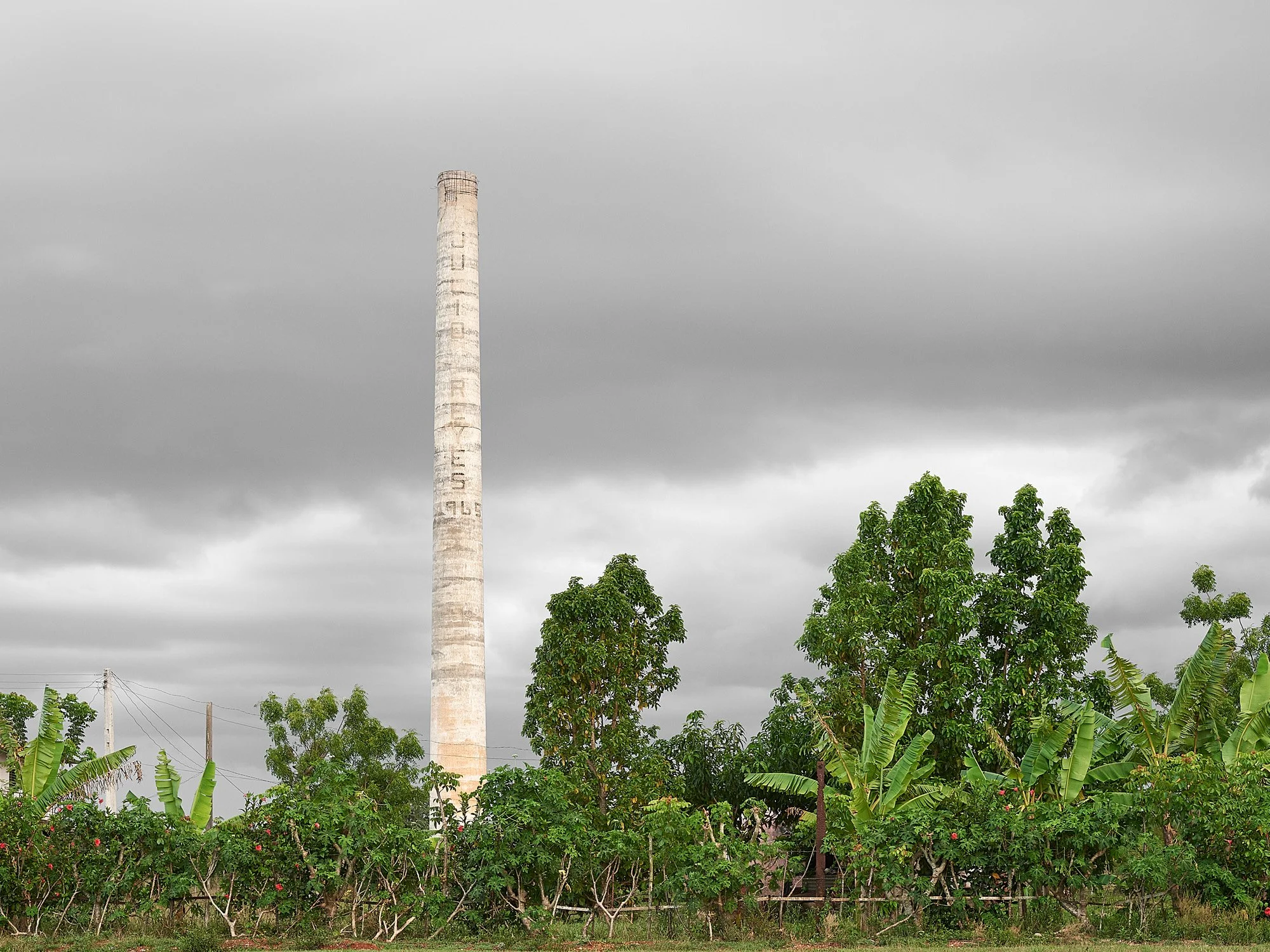 321-I. De la serie Caminos negros