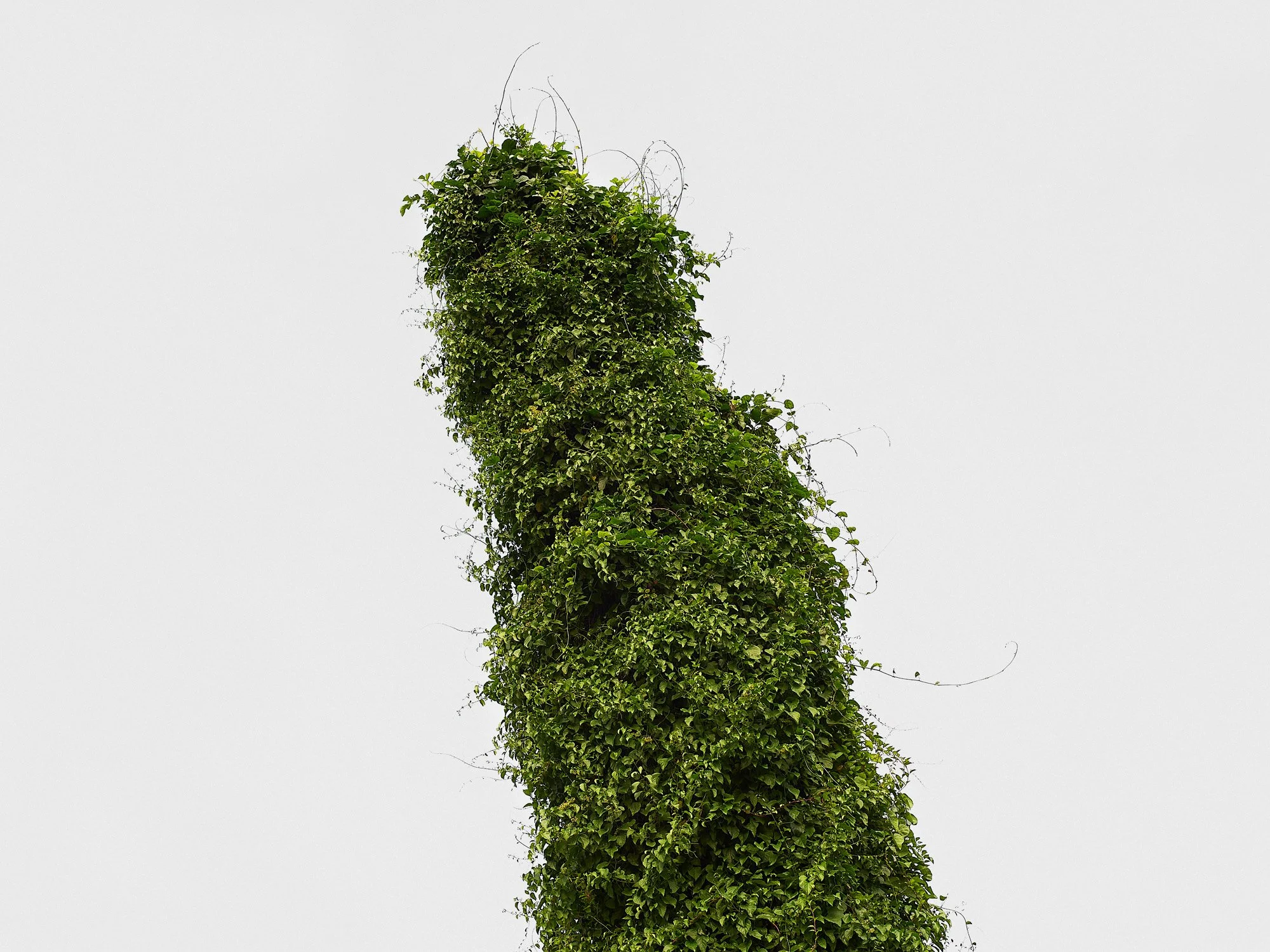 406-II. De la serie Caminos negros